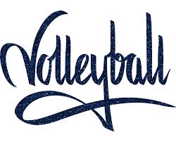 Image result for volleyball