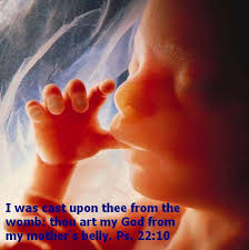 Famous quotes about &#39;Unborn Child&#39; - QuotationOf . COM via Relatably.com