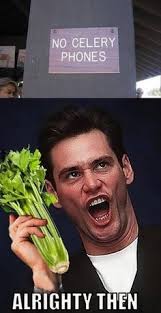 ACE VENTURA *all righty then* \^_^/ on Pinterest | Jim Carrey ... via Relatably.com