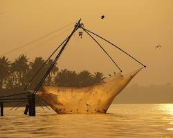 Image of Chinese Fishing Nets, Kochi