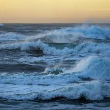 Two men found dead in water in Marin County after leaving in a canoe