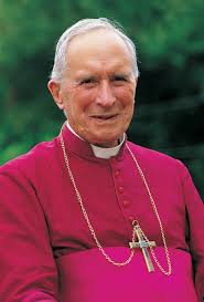 Image result for Damien Lefebvre gay images