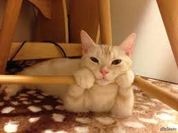 Картинки по запросу ну рассказывай