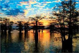 Image result for caddo lake