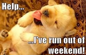 Sunday night blues | animals | Pinterest | Sunday Night, Puppys ... via Relatably.com