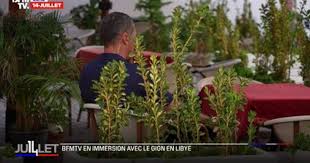 Actualités – Orange - News update