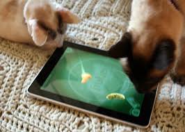 Image result for cats on ipad