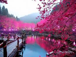 Image result for japan