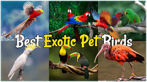 Related video thumbnail