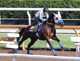 News source: Yahoo!ニュース