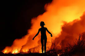 Resultado de imagem para napalm