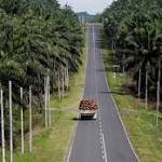 Vegoils: Palm rises two-week weaker