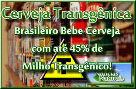 Resultado de imagem para transgênicos