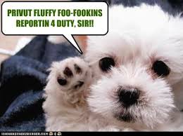 PRIVUT FLUFFY FOO-FOOKINS REPORTIN 4 DUTY, SIR! - h0B476A70