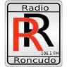 Resultado de imagen de radio roncudo