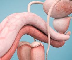 Image result for 4chan hacks podesta twitter