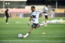 NETVASCO - News update