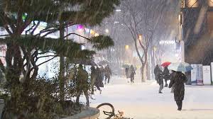 내일 날씨 - 전국 강설에 대설특보·비상대응 체제 가동 (대설특보, 출근길 안전)