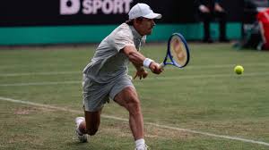 alex de minaur