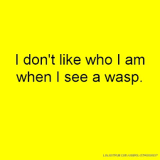 I don&#39;t like who I am when I see a wasp. | Laugh my pants off ... via Relatably.com