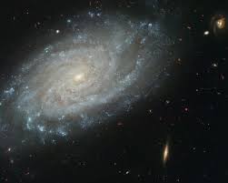 Image result for NGC3310