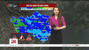 VTVgo - News update