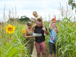 Wistow maze reveals brilliant new design, celebrating Sir David Attenborough