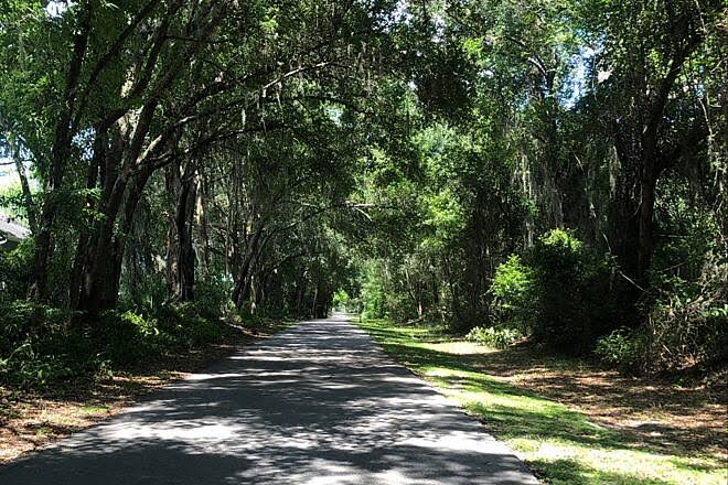 Tree Service Seminole