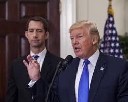 Trump pushes for permanent daylight saving time - Toledo Blade