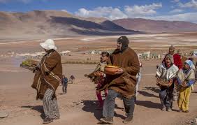 Resultado de imagen para tolar grande