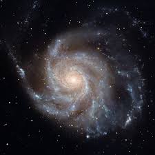 Image result for m101