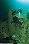 Dive Insurance - Cozumel Forum - TripAdvisor