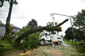 Storms cause power outages in GLOW region