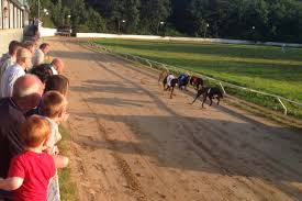 Picture of Valley Greyhound Stadium