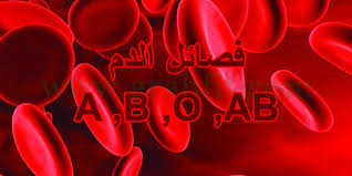 فئات الدم Blood types Images?q=tbn:ANd9GcQN1DBMbI5Nd5jvS57P-OfLqiDlZVUgJ54weFEgHcDwwchtKLj_Hg
