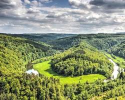 Afbeelding van Semois river surrounded by forest