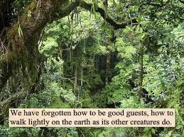 love quote life hippie trees nature peace earth care hippy spirit ... via Relatably.com