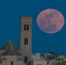 News source: Harper's BAZAAR