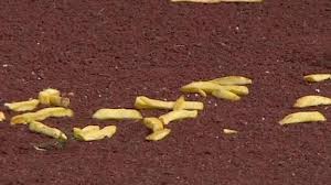 Red Sox Beat Yankees 10-7: Story's Clutch Hits, Crochet's Solid Start