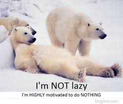 Image result for I'm not motivated to exercise