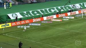 palmeiras