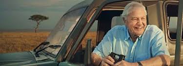 Sir David Attenborough's 100th Birthday on the BBC - Everything you need to know