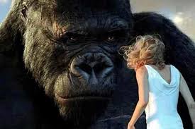 New King Kong Movie 2016 - Business Insider via Relatably.com