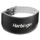 Academy lifting belt