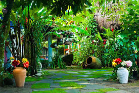 [Imagem: images?q=tbn:ANd9GcQNZqcc-lAFgJjZ_3srw-9...KbO2BSwYIw]