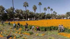 Pronóstico del clima en Mexicali para el viernes 10 de julio: Caluroso y cielo claro