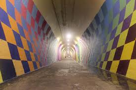 Image result for nicholas kuszyk