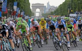 Image result for 2015 tour de france ago