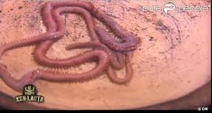 images?q=tbn:ANd9GcQO-v_jATmqETZY7C7Hr6J7TLNIHHvNy5FNvYj_RLlbczRAKUcSTQ