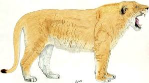 Los Leones: Especies